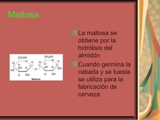 Maltosa
La maltosa se
obtiene por la
hidrólisis del
almidón
Cuando germina la
cebada y se tuesta
se utiliza para la
fabricación de
cerveza
 