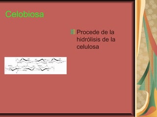 Celobiosa
Procede de la
hidrólisis de la
celulosa
 