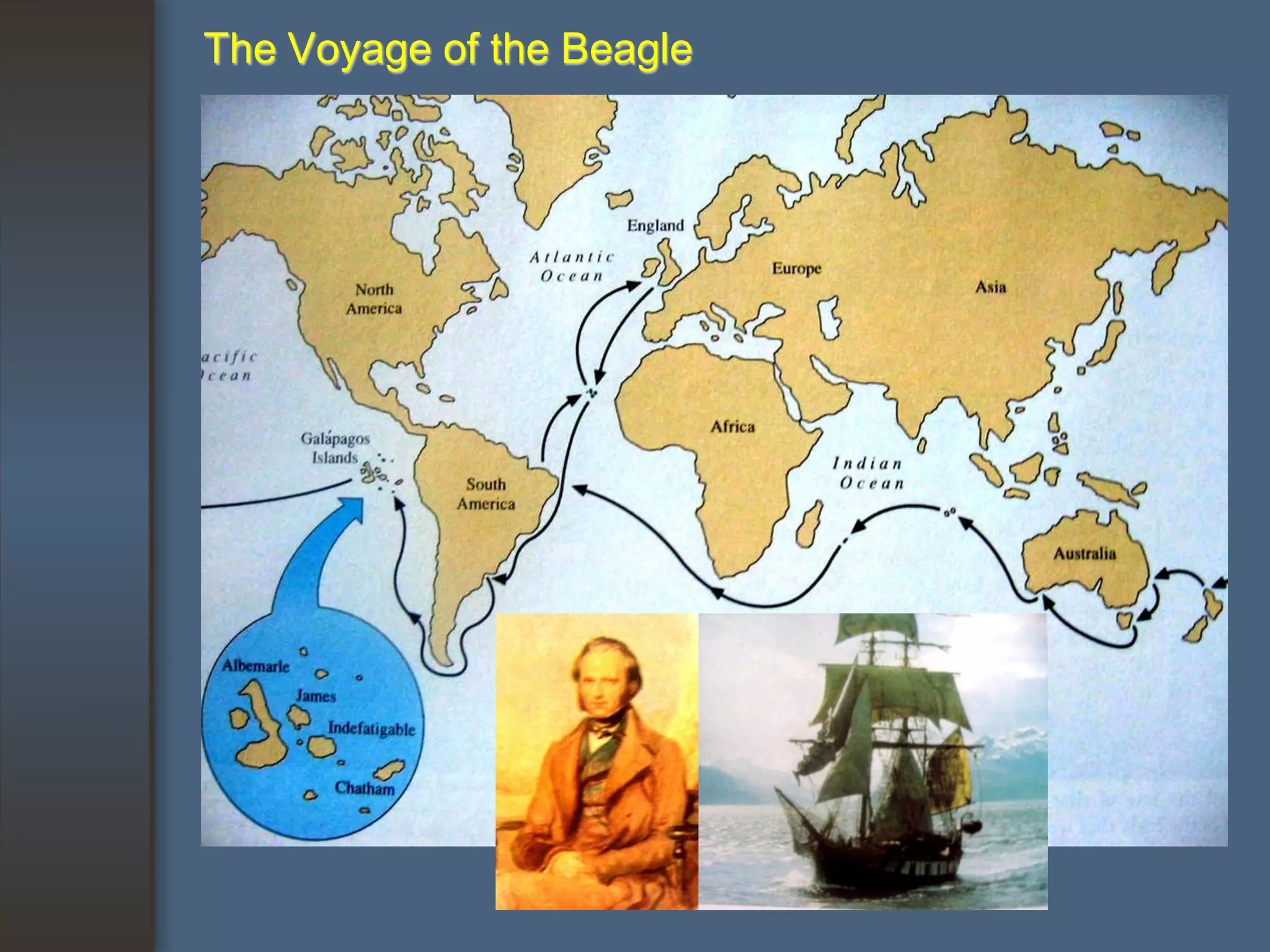 The Voyage of the Beagle
 