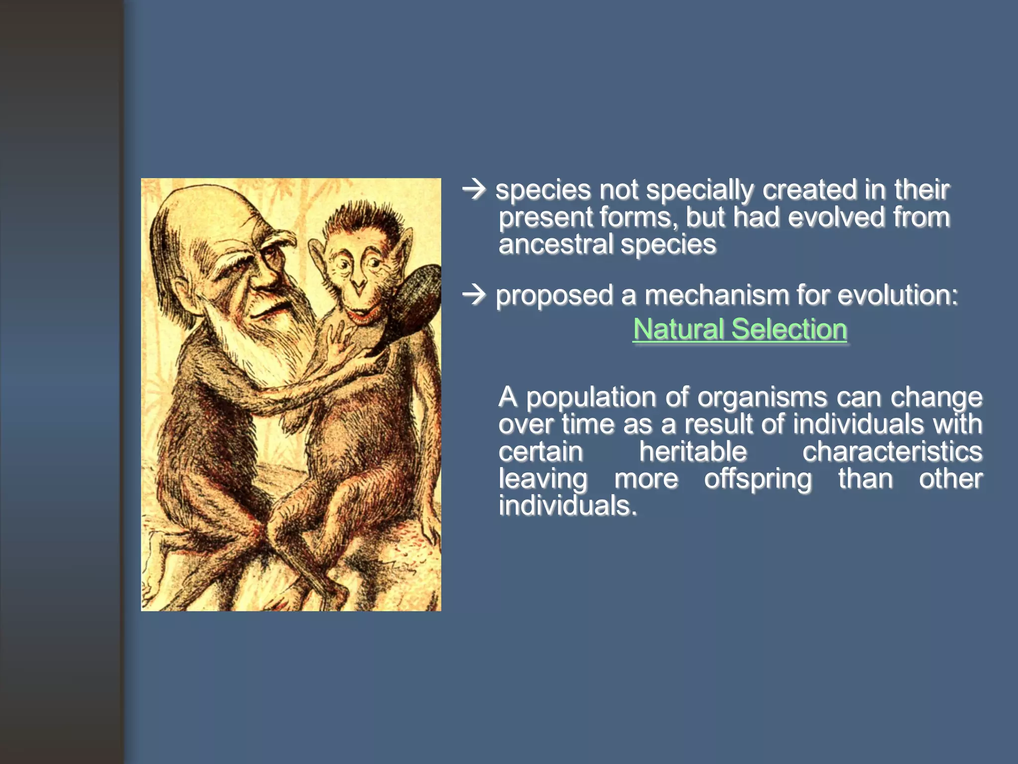  species not specially created in their
  present forms, but had evolved from
  ancestral species
 proposed a mechanism for evolution:
            Natural Selection

   A population of organisms can change
   over time as a result of individuals with
   certain      heritable    characteristics
   leaving more offspring than other
   individuals.
 