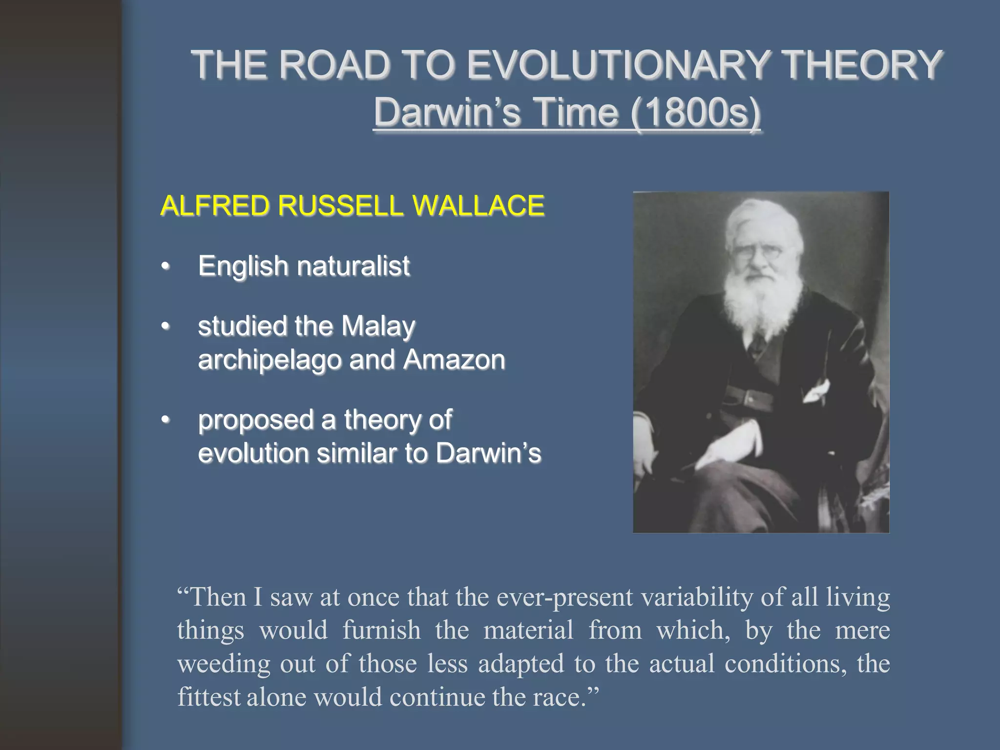 THE ROAD TO EVOLUTIONARY THEORY
         Darwin’s Time (1800s)

ALFRED RUSSELL WALLACE

• English naturalist

• studied the Malay
  archipelago and Amazon

• proposed a theory of
  evolution similar to Darwin’s




 “Then I saw at once that the ever-present variability of all living
 things would furnish the material from which, by the mere
 weeding out of those less adapted to the actual conditions, the
 fittest alone would continue the race.”
 