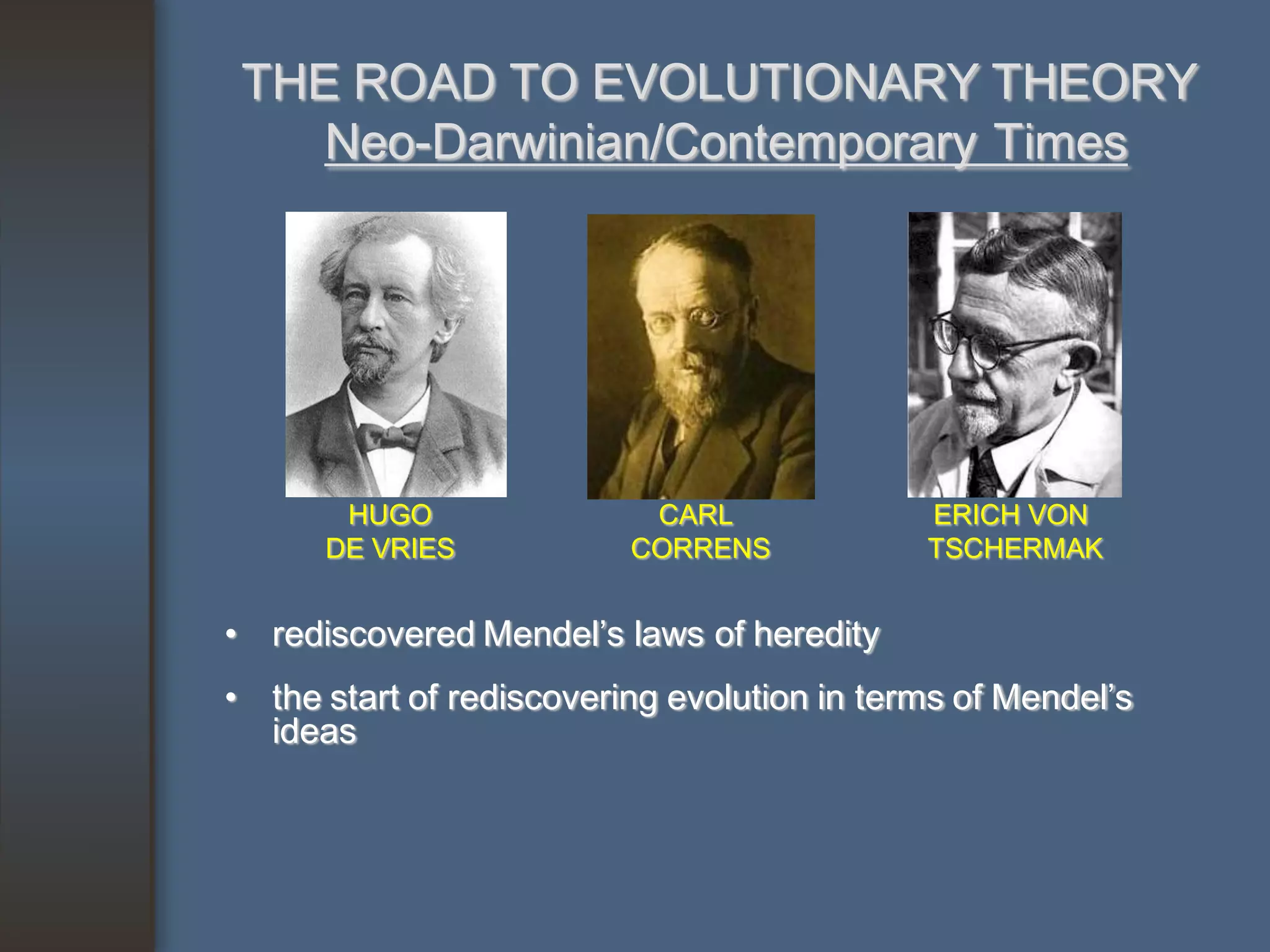 THE ROAD TO EVOLUTIONARY THEORY
    Neo-Darwinian/Contemporary Times




       HUGO                CARL              ERICH VON
      DE VRIES            CORRENS            TSCHERMAK


• rediscovered Mendel’s laws of heredity
• the start of rediscovering evolution in terms of Mendel’s
  ideas
 