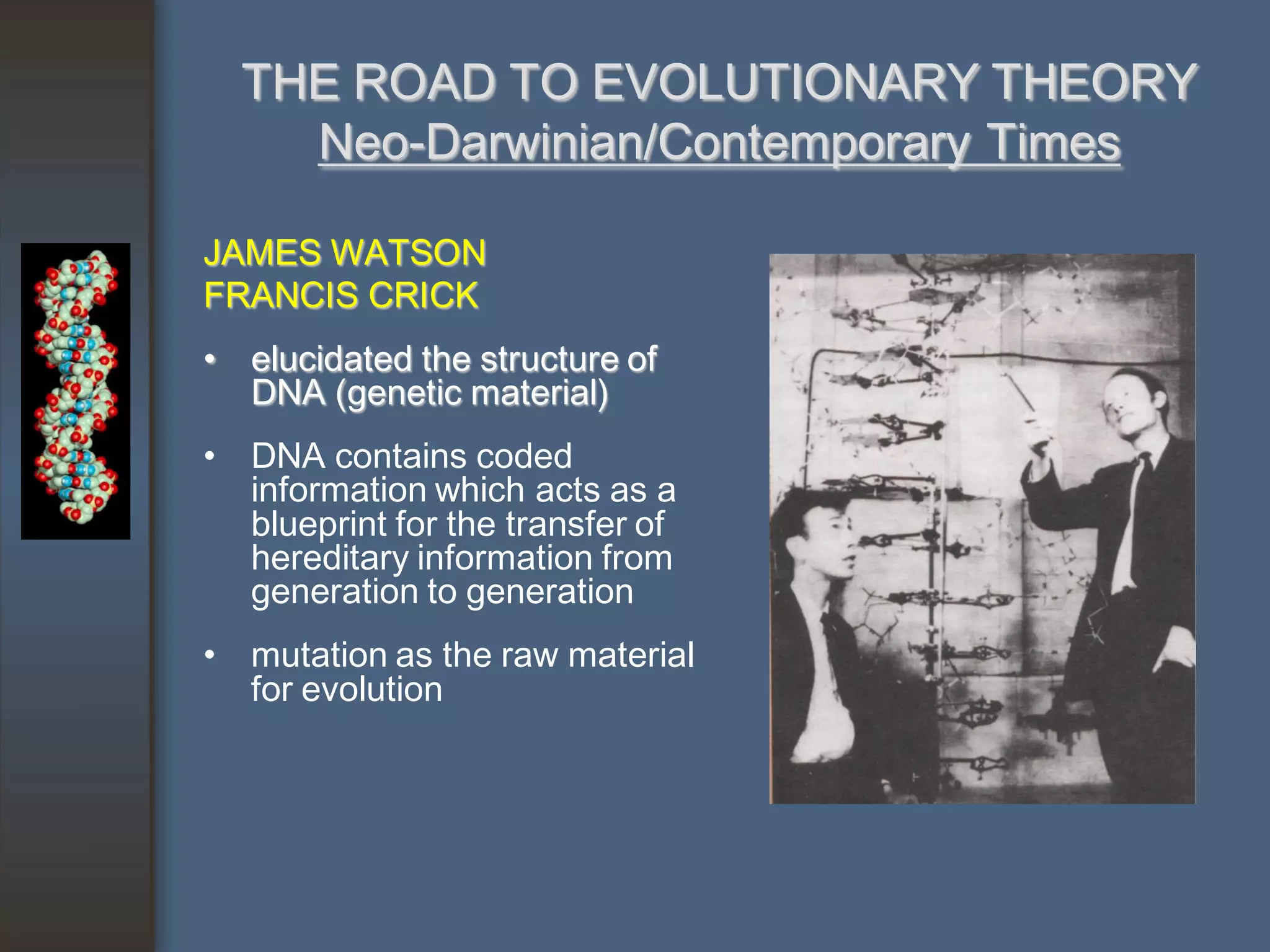 THE ROAD TO EVOLUTIONARY THEORY
    Neo-Darwinian/Contemporary Times

JAMES WATSON
FRANCIS CRICK
• elucidated the structure of
  DNA (genetic material)
• DNA contains coded
  information which acts as a
  blueprint for the transfer of
  hereditary information from
  generation to generation
• mutation as the raw material
  for evolution
 