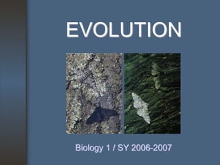 EVOLUTION




Biology 1 / SY 2006-2007
 