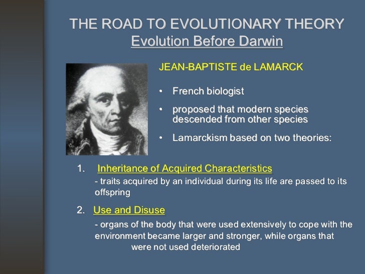 the comparison of six theories of historical thought While this school of thought dominated psychology the variety of perspectives in modern psychology a closer look at some key personality theories in psychology. the comparison of six theories of historical thought While this school of thought dominated psychology the variety of perspectives in modern psychology a closer look at some key personality theories in psychology.