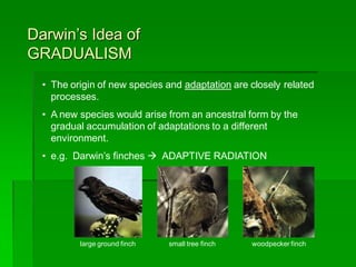 Theory of Evolution | PDF
