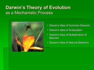 Darwin’s Theory of Evolution
as a Mechanistic Process

                     • Darwin’s Idea of Common Descent
                     • Darwin’s Idea of Gradualism
                     • Darwin’s Idea of Multiplication of
                       Species
                     • Darwin’s Idea of Natural Selection
 