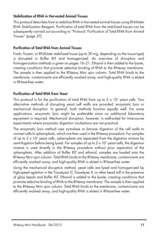 Stabilization of RNA in Harvested Animal Tissues
This protocol describes how to stabilize RNA in harvested animal tissues using RNAlater
RNA Stabilization Reagent. Purification of total RNA from the stabilized tissues can be
subsequently carried out according to “Protocol: Purification of Total RNA from Animal
Tissues” (page 37).
Purification of Total RNA from Animal Tissues
Fresh, frozen, or RNAlater stabilized tissue (up to 30 mg, depending on the tissue type)
is disrupted in Buffer RLT and homogenized. An overview of disruption and
homogenization methods is given on pages 18–21. Ethanol is then added to the lysate,
creating conditions that promote selective binding of RNA to the RNeasy membrane.
The sample is then applied to the RNeasy Mini spin column. Total RNA binds to the
membrane, contaminants are efficiently washed away, and high-quality RNA is eluted
in RNase-free water.
Purification of Total RNA from Yeast
This protocol is for the purification of total RNA from up to 5 x 107
yeast cells. Two
alternative methods of disrupting yeast cell walls are provided: enzymatic lysis or
mechanical disruption. In general, both methods function equally well. For some
applications, enzymatic lysis might be preferable since no additional laboratory
equipment is required. Mechanical disruption, however, is well-suited for time-course
experiments where enzymatic digestion incubations are not practical.
The enzymatic lysis method uses zymolase or lyticase digestion of the cell walls to
convert cells to spheroplasts, which are then used in the RNeasy procedure. For samples
of up to 5 x 107
yeast cells, spheroplasts are separated from the digestion mixture by
centrifugation before being lysed. For samples of up to 2 x 107
yeast cells, the digestion
mixture is used directly in the RNeasy procedure without prior separation of the
spheroplasts. After addition of Buffer RLT and ethanol, samples are loaded onto the
RNeasy Mini spin column. Total RNA binds to the RNeasy membrane, contaminants are
efficiently washed away, and high-quality RNA is eluted in RNase-free water.
Using the mechanical disruption method, yeast cells are lysed and homogenized by
high-speed agitation in the TissueLyser LT, TissueLyser II, or other bead mill in the presence
of glass beads and Buffer RLT. Ethanol is added to the lysate, creating conditions that
promote selective binding of RNA to the RNeasy membrane. The sample is then applied
to the RNeasy Mini spin column. Total RNA binds to the membrane, contaminants are
efficiently washed away, and high-quality RNA is eluted in RNase-free water.
RNeasy Mini Handbook 06/2012 11
 