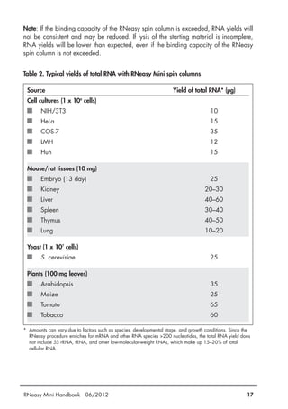 Note: If the binding capacity of the RNeasy spin column is exceeded, RNA yields will
not be consistent and may be reduced. If lysis of the starting material is incomplete,
RNA yields will be lower than expected, even if the binding capacity of the RNeasy
spin column is not exceeded.
Table 2. Typical yields of total RNA with RNeasy Mini spin columns
Source Yield of total RNA* (µg)
Cell cultures (1 x 106
cells)
NIH/3T3 10
HeLa 15
COS-7 35
LMH 12
Huh 15
Mouse/rat tissues (10 mg)
Embryo (13 day) 25
Kidney 20–30
Liver 40–60
Spleen 30–40
Thymus 40–50
Lung 10–20
Yeast (1 x 107
cells)
S. cerevisiae 25
Plants (100 mg leaves)
Arabidopsis 35
Maize 25
Tomato 65
Tobacco 60
* Amounts can vary due to factors such as species, developmental stage, and growth conditions. Since the
RNeasy procedure enriches for mRNA and other RNA species >200 nucleotides, the total RNA yield does
not include 5S rRNA, tRNA, and other low-molecular-weight RNAs, which make up 15–20% of total
cellular RNA.
RNeasy Mini Handbook 06/2012 17
 