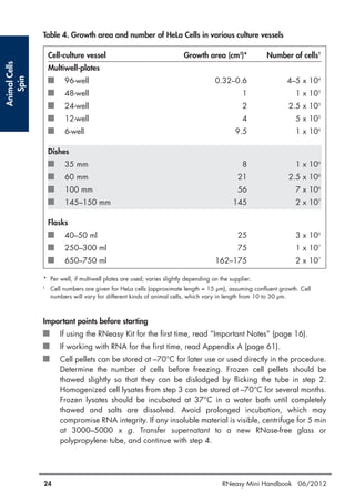 AnimalCells
Spin
24 RNeasy Mini Handbook 06/2012
Table 4. Growth area and number of HeLa Cells in various culture vessels
Cell-culture vessel Growth area (cm2
)* Number of cells†
Multiwell-plates
96-well 0.32–0.6 4–5 x 104
48-well 1 1 x 105
24-well 2 2.5 x 105
12-well 4 5 x 105
6-well 9.5 1 x 106
Dishes
35 mm 8 1 x 106
60 mm 21 2.5 x 106
100 mm 56 7 x 106
145–150 mm 145 2 x 107
Flasks
40–50 ml 25 3 x 106
250–300 ml 75 1 x 107
650–750 ml 162–175 2 x 107
* Per well, if multiwell plates are used; varies slightly depending on the supplier.
†
Cell numbers are given for HeLa cells (approximate length = 15 µm), assuming confluent growth. Cell
numbers will vary for different kinds of animal cells, which vary in length from 10 to 30 µm.
Important points before starting
If using the RNeasy Kit for the first time, read “Important Notes” (page 16).
If working with RNA for the first time, read Appendix A (page 61).
Cell pellets can be stored at –70°C for later use or used directly in the procedure.
Determine the number of cells before freezing. Frozen cell pellets should be
thawed slightly so that they can be dislodged by flicking the tube in step 2.
Homogenized cell lysates from step 3 can be stored at –70°C for several months.
Frozen lysates should be incubated at 37°C in a water bath until completely
thawed and salts are dissolved. Avoid prolonged incubation, which may
compromise RNA integrity. If any insoluble material is visible, centrifuge for 5 min
at 3000–5000 x g. Transfer supernatant to a new RNase-free glass or
polypropylene tube, and continue with step 4.
 