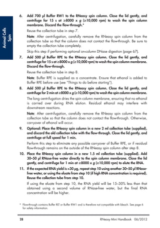 AnimalCells
Spin
28 RNeasy Mini Handbook 06/2012
6. Add 700 µl Buffer RW1 to the RNeasy spin column. Close the lid gently, and
centrifuge for 15 s at ≥8000 x g (≥10,000 rpm) to wash the spin column
membrane. Discard the flow-through.*
Reuse the collection tube in step 7.
Note: After centrifugation, carefully remove the RNeasy spin column from the
collection tube so that the column does not contact the flow-through. Be sure to
empty the collection tube completely.
Skip this step if performing optional on-column DNase digestion (page 67).
7. Add 500 µl Buffer RPE to the RNeasy spin column. Close the lid gently, and
centrifuge for 15 s at ≥8000 x g (≥10,000 rpm) to wash the spin column membrane.
Discard the flow-through.
Reuse the collection tube in step 8.
Note: Buffer RPE is supplied as a concentrate. Ensure that ethanol is added to
Buffer RPE before use (see “Things to do before starting”).
8. Add 500 µl Buffer RPE to the RNeasy spin column. Close the lid gently, and
centrifuge for 2 min at ≥8000 x g (≥10,000 rpm) to wash the spin column membrane.
The long centrifugation dries the spin column membrane, ensuring that no ethanol
is carried over during RNA elution. Residual ethanol may interfere with
downstream reactions.
Note: After centrifugation, carefully remove the RNeasy spin column from the
collection tube so that the column does not contact the flow-through. Otherwise,
carryover of ethanol will occur.
9. Optional: Place the RNeasy spin column in a new 2 ml collection tube (supplied),
and discard the old collection tube with the flow-through. Close the lid gently, and
centrifuge at full speed for 1 min.
Perform this step to eliminate any possible carryover of Buffer RPE, or if residual
flow-through remains on the outside of the RNeasy spin column after step 8.
10. Place the RNeasy spin column in a new 1.5 ml collection tube (supplied). Add
30–50 µl RNase-free water directly to the spin column membrane. Close the lid
gently, and centrifuge for 1 min at ≥8000 x g (≥10,000 rpm) to elute the RNA.
11. If the expected RNA yield is >30 µg, repeat step 10 using another 30–50 µl RNase-
free water, or using the eluate from step 10 (if high RNA concentration is required).
Reuse the collection tube from step 10.
If using the eluate from step 10, the RNA yield will be 15–30% less than that
obtained using a second volume of RNase-free water, but the final RNA
concentration will be higher.
* Flow-through contains Buffer RLT or Buffer RW1 and is therefore not compatible with bleach. See page 6
for safety information.
 
