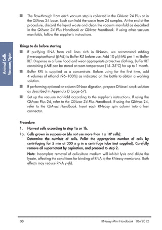 AnimalCells
Vacuum/Spin
30 RNeasy Mini Handbook 06/2012
The flow-through from each vacuum step is collected in the QIAvac 24 Plus or in
the QIAvac 24 base. Each can hold the waste from 24 samples. At the end of the
procedure, discard the liquid waste and clean the vacuum manifold as described
in the QIAvac 24 Plus Handbook or QIAvac Handbook. If using other vacuum
manifolds, follow the supplier’s instructions.
Things to do before starting
If purifying RNA from cell lines rich in RNases, we recommend adding
β-mercaptoethanol (β-ME) to Buffer RLT before use. Add 10 µl β-ME per 1 ml Buffer
RLT. Dispense in a fume hood and wear appropriate protective clothing. Buffer RLT
containing β-ME can be stored at room temperature (15–25°C) for up to 1 month.
Buffer RPE is supplied as a concentrate. Before using for the first time, add
4 volumes of ethanol (96–100%) as indicated on the bottle to obtain a working
solution.
If performing optional on-column DNase digestion, prepare DNase I stock solution
as described in Appendix D (page 67).
Set up the vacuum manifold according to the supplier’s instructions. If using the
QIAvac Plus 24, refer to the QIAvac 24 Plus Handbook. If using the QIAvac 24,
refer to the QIAvac Handbook. Insert each RNeasy spin column into a luer
connector.
Procedure
1. Harvest cells according to step 1a or 1b.
1a. Cells grown in suspension (do not use more than 1 x 106
cells):
Determine the number of cells. Pellet the appropriate number of cells by
centrifuging for 5 min at 300 x g in a centrifuge tube (not supplied). Carefully
remove all supernatant by aspiration, and proceed to step 2.
Note: Incomplete removal of cell-culture medium will inhibit lysis and dilute the
lysate, affecting the conditions for binding of RNA to the RNeasy membrane. Both
effects may reduce RNA yield.
 