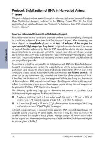 Stabilization
34 RNeasy Mini Handbook 06/2012
Protocol: Stabilization of RNA in Harvested Animal
Tissues
This protocol describes how to stabilize and store human and animal tissues in RNAlater
RNA Stabilization Reagent, included in the RNeasy Protect Mini Kit. For RNA
purification from stabilized tissues, see “Protocol: Purification of Total RNA from Animal
Tissues”, page 37.
Important notes about RNAlater RNA Stabilization Reagent
RNA in harvested animal tissue is not protected until the tissue is completely submerged
in a sufficient volume of RNAlater RNA Stabilization Reagent. After harvesting, the
tissue should be immediately placed in at least 10 volumes of the reagent (or
approximately 10 µl reagent per 1 mg tissue). Larger volumes can be used if necessary
or desired. Smaller volumes may lead to RNA degradation during storage. Storage
containers should be wide enough so that the reagent covers the entire tissue. Storage
containers or tubes with large diameters may require more reagent to completely cover
the tissue. The procedures for tissue harvesting and RNA stabilization should be carried
out as quickly as possible.
Tissue size is critical for successful RNA stabilization with RNAlater RNA Stabilization
Reagent. Immediately upon contact, the reagent diffuses into the surface layer and outer
portions of solid tissues. To ensure rapid and reliable stabilization of RNA even in the
inner parts of solid tissues, the sample must be cut into slices less than 0.5 cm thick. The
slices can be any convenient size, provided one dimension of the sample is <0.5 cm.
If the slices are thicker than 0.5 cm, the reagent will diffuse too slowly into the interior
of the sample and RNA degradation will occur. Small organs such as rat kidney and
spleen or most mouse organs (except liver) do not require slicing: the entire organ can
be placed in RNAlater RNA Stabilization Reagent.
The following guide may help you to determine the amount of RNAlater RNA
Stabilization Reagent required for RNA stabilization:
A cube of rat kidney with a 5 mm edge length ([5 mm]3
= 125 mm3
= 125 µl)
weighs 150–175 mg and requires at least 1.5–1.75 ml of the reagent.
A 3 mm cube ([3 mm]3
= 27 mm3
= 27 µl) of most animal tissues weighs 30–35 mg
and requires at least 300–350 µl of the reagent.
Although weighing tissues is generally more accurate, RNA in unstabilized tissues will
degrade during weighing. In some cases, however, it may be more convenient to
quickly estimate the weight of tissue pieces. Average weights of various entire adult
mouse organs and the corresponding amounts of RNAlater RNA Stabilization Reagent
to use are given in Table 7.
 