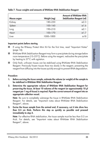 Stabilization
Table 7. Tissue weights and amounts of RNAlater RNA Stabilization Reagent
Amount of RNAlater RNA
Mouse organ Weight (mg) Stabilization Reagent (ml)
Kidney 180–250 ≥2.5
Spleen 100–160 ≥1.6
Lung 190–210 ≥2.1
Heart 100–170 ≥1.7
Liver 1000–1800 ≥18
Important points before starting
If using the RNeasy Protect Mini Kit for the first time, read “Important Notes”
(page 16).
RNAlater RNA Stabilization Reagent may form a precipitate during storage below
room temperature (15–25°C). Before using the reagent, redissolve the precipitate
by heating to 37°C with agitation.
Only fresh, unfrozen tissues can be stabilized using RNAlater RNA Stabilization
Reagent. Previously frozen tissues thaw too slowly in the reagent, preventing the
reagent from diffusing into the tissues quickly enough to prevent RNA degradation.
Procedure
1. Before excising the tissue sample, estimate the volume (or weight) of the sample to
be stabilized in RNAlater RNA Stabilization Reagent.
2. Determine the appropriate volume of RNAlater RNA Stabilization Reagent for
preserving the tissue. At least 10 volumes of the reagent (or approximately 10 µl
reagent per 1 mg of tissue) is required. Pipet the correct amount of reagent into an
appropriate collection vessel.
Note: Be sure to completely submerge the tissue in RNAlater RNA Stabilization
Reagent. For details, see “Important notes about RNAlater RNA Stabilization
Reagent”, above.
3. Excise the tissue sample from the animal and, if necessary, cut it into slices less
than 0.5 cm thick. Perform this step as quickly as possible and proceed
immediately to step 4.
Note: For effective RNA stabilization, the tissue sample must be less than 0.5 cm
thick. For details, see “Important notes about RNAlater RNA Stabilization
Reagent”, above.
RNeasy Mini Handbook 06/2012 35
 