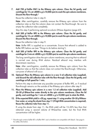 AnimalTissues
42 RNeasy Mini Handbook 06/2012
7. Add 700 µl Buffer RW1 to the RNeasy spin column. Close the lid gently, and
centrifuge for 15 s at ≥8000 x g (≥10,000 rpm) to wash the spin column membrane.
Discard the flow-through.*
Reuse the collection tube in step 8.
Note: After centrifugation, carefully remove the RNeasy spin column from the
collection tube so that the column does not contact the flow-through. Be sure to
empty the collection tube completely.
Skip this step if performing optional on-column DNase digestion (page 67).
8. Add 500 µl Buffer RPE to the RNeasy spin column. Close the lid gently, and
centrifuge for 15 s at ≥8000 x g (≥10,000 rpm) to wash the spin column membrane.
Discard the flow-through.
Reuse the collection tube in step 9.
Note: Buffer RPE is supplied as a concentrate. Ensure that ethanol is added to
Buffer RPE before use (see “Things to do before starting”).
9. Add 500 µl Buffer RPE to the RNeasy spin column. Close the lid gently, and
centrifuge for 2 min at ≥8000 x g (≥10,000 rpm) to wash the spin column membrane.
The long centrifugation dries the spin column membrane, ensuring that no ethanol
is carried over during RNA elution. Residual ethanol may interfere with
downstream reactions.
Note: After centrifugation, carefully remove the RNeasy spin column from the
collection tube so that the column does not contact the flow-through. Otherwise,
carryover of ethanol will occur.
10. Optional: Place the RNeasy spin column in a new 2 ml collection tube (supplied),
and discard the old collection tube with the flow-through. Close the lid gently, and
centrifuge at full speed for 1 min.
Perform this step to eliminate any possible carryover of Buffer RPE, or if residual
flow-through remains on the outside of the RNeasy spin column after step 9.
11. Place the RNeasy spin column in a new 1.5 ml collection tube (supplied). Add
30–50 µl RNase-free water directly to the spin column membrane. Close the lid
gently, and centrifuge for 1 min at ≥8000 x g (≥10,000 rpm) to elute the RNA.
12. If the expected RNA yield is >30 µg, repeat step 11 using another 30–50 µl RNase-
free water, or using the eluate from step 11 (if high RNA concentration is required).
Reuse the collection tube from step 11.
If using the eluate from step 11, the RNA yield will be 15–30% less than that
obtained using a second volume of RNase-free water, but the final RNA
concentration will be higher.
* Flow-through contains Buffer RLT or Buffer RW1 and is therefore not compatible with bleach. See page 6
for safety information.
 