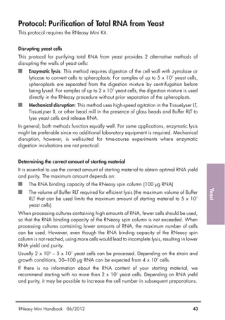 Yeast
Protocol: Purification of Total RNA from Yeast
This protocol requires the RNeasy Mini Kit.
Disrupting yeast cells
This protocol for purifying total RNA from yeast provides 2 alternative methods of
disrupting the walls of yeast cells:
Enzymatic lysis: This method requires digestion of the cell wall with zymolase or
lyticase to convert cells to spheroplasts. For samples of up to 5 x 107
yeast cells,
spheroplasts are separated from the digestion mixture by centrifugation before
being lysed. For samples of up to 2 x 107
yeast cells, the digestion mixture is used
directly in the RNeasy procedure without prior separation of the spheroplasts.
Mechanical disruption: This method uses high-speed agitation in the TissueLyser LT,
TissueLyser II, or other bead mill in the presence of glass beads and Buffer RLT to
lyse yeast cells and release RNA.
In general, both methods function equally well. For some applications, enzymatic lysis
might be preferable since no additional laboratory equipment is required. Mechanical
disruption, however, is well-suited for time-course experiments where enzymatic
digestion incubations are not practical.
Determining the correct amount of starting material
It is essential to use the correct amount of starting material to obtain optimal RNA yield
and purity. The maximum amount depends on:
The RNA binding capacity of the RNeasy spin column (100 µg RNA)
The volume of Buffer RLT required for efficient lysis (the maximum volume of Buffer
RLT that can be used limits the maximum amount of starting material to 5 x 107
yeast cells)
When processing cultures containing high amounts of RNA, fewer cells should be used,
so that the RNA binding capacity of the RNeasy spin column is not exceeded. When
processing cultures containing lower amounts of RNA, the maximum number of cells
can be used. However, even though the RNA binding capacity of the RNeasy spin
column is not reached, using more cells would lead to incomplete lysis, resulting in lower
RNA yield and purity.
Usually 2 x 106
– 5 x 107
yeast cells can be processed. Depending on the strain and
growth conditions, 30–100 µg RNA can be expected from 4 x 107
cells.
If there is no information about the RNA content of your starting material, we
recommend starting with no more than 2 x 107
yeast cells. Depending on RNA yield
and purity, it may be possible to increase the cell number in subsequent preparations.
RNeasy Mini Handbook 06/2012 43
 