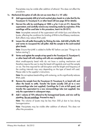 Yeast
Precipitates may be visible after addition of ethanol. This does not affect the
procedure.
1c. Mechanical disruption of cells (do not use more than 5 x 107
cells):
Add approximately 600 µl of acid-washed glass beads to a tube that fits the
TissueLyser LT, TissueLyser II, or other bead mill (see page 20 for details).
Harvest the cells by centrifuging at 1000 x g for 5 min at 4°C. Decant the
supernatant, and carefully remove any remaining media by aspiration. If the
centrifuge will be used later in this procedure, heat it to 20–25°C.
Note: Incomplete removal of the supernatant will inhibit lysis and dilute the
lysate, affecting the conditions for binding of RNA to the RNeasy membrane.
Both effects may reduce RNA yield.
Loosen the cell pellet thoroughly by flicking the tube. Add 600 µl Buffer RLT,
and vortex to resuspend the cell pellet. Add the sample to the acid-washed
glass beads.
Note: Ensure that β-ME is added to Buffer RLT before use (see “Things to do
before starting”).
Vortex and agitate the sample at top speed in the TissueLyser LT, TissueLyser II,
or other bead mill with cooling until cells are completely disrupted.
Most small-capacity bead mills do not have a cooling mechanism and
therefore require the user to stop the bead mill regularly and cool the sample
on ice. The time required for cell disruption and the length and frequency of
the cooling intervals may vary depending on the type of bead mill used.
Please refer to the supplier’s instructions.
Note: Do not replace bead-milling with vortexing, as this significantly reduces
RNA yield.
Remove the sample from the TissueLyser LT, TissueLyser II, or bead mill, and
allow the beads to settle. Transfer the lysate (usually 350 µl) to a new
microcentrifuge tube (not supplied). Centrifuge for 2 min at full speed, and
transfer the supernatant to a new microcentrifuge tube (not supplied). Use
only the supernatant in subsequent steps.
Add 1 volume of 70% ethanol to the homogenized lysate, and mix well by
pipetting. Do not centrifuge. Proceed to step 2.
Note: The volume of lysate may be less than 350 µl due to loss during
homogenization.
Note: Precipitates may be visible after addition of ethanol. This does not
affect the procedure.
RNeasy Mini Handbook 06/2012 47
 