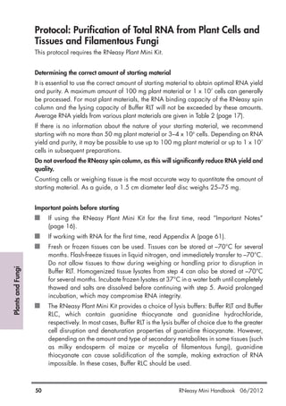 PlantsandFungi
50 RNeasy Mini Handbook 06/2012
Protocol: Purification of Total RNA from Plant Cells and
Tissues and Filamentous Fungi
This protocol requires the RNeasy Plant Mini Kit.
Determining the correct amount of starting material
It is essential to use the correct amount of starting material to obtain optimal RNA yield
and purity. A maximum amount of 100 mg plant material or 1 x 107
cells can generally
be processed. For most plant materials, the RNA binding capacity of the RNeasy spin
column and the lysing capacity of Buffer RLT will not be exceeded by these amounts.
Average RNA yields from various plant materials are given in Table 2 (page 17).
If there is no information about the nature of your starting material, we recommend
starting with no more than 50 mg plant material or 3–4 x 106
cells. Depending on RNA
yield and purity, it may be possible to use up to 100 mg plant material or up to 1 x 107
cells in subsequent preparations.
Do not overload the RNeasy spin column, as this will significantly reduce RNA yield and
quality.
Counting cells or weighing tissue is the most accurate way to quantitate the amount of
starting material. As a guide, a 1.5 cm diameter leaf disc weighs 25–75 mg.
Important points before starting
If using the RNeasy Plant Mini Kit for the first time, read “Important Notes”
(page 16).
If working with RNA for the first time, read Appendix A (page 61).
Fresh or frozen tissues can be used. Tissues can be stored at –70°C for several
months. Flash-freeze tissues in liquid nitrogen, and immediately transfer to –70°C.
Do not allow tissues to thaw during weighing or handling prior to disruption in
Buffer RLT. Homogenized tissue lysates from step 4 can also be stored at –70°C
for several months. Incubate frozen lysates at 37°C in a water bath until completely
thawed and salts are dissolved before continuing with step 5. Avoid prolonged
incubation, which may compromise RNA integrity.
The RNeasy Plant Mini Kit provides a choice of lysis buffers: Buffer RLT and Buffer
RLC, which contain guanidine thiocyanate and guanidine hydrochloride,
respectively. In most cases, Buffer RLT is the lysis buffer of choice due to the greater
cell disruption and denaturation properties of guanidine thiocyanate. However,
depending on the amount and type of secondary metabolites in some tissues (such
as milky endosperm of maize or mycelia of filamentous fungi), guanidine
thiocyanate can cause solidification of the sample, making extraction of RNA
impossible. In these cases, Buffer RLC should be used.
 