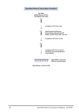 QuantiTect Reverse Transcription Handbook 03/20098
Mix RNA,
gDNA Wipeout Buffer,
and RNase-free water
Incubate at 42°C for 2 min
Add Quantiscript Reverse
Transcriptase, Quantiscript RT
Buffer, and RT Primer Mix, and mix
Add cDNA to real-time
PCR mix and distribute
Quantitative, real-time PCR
Incubate at 42°C for 15 min
Incubate at 95°C for 3 min to
inactivate Quantiscript Reverse
Transcriptase
QuantiTect Reverse Transcription Procedure
1056039_HB 19.03.2009 14:01 Uhr Seite 8
 