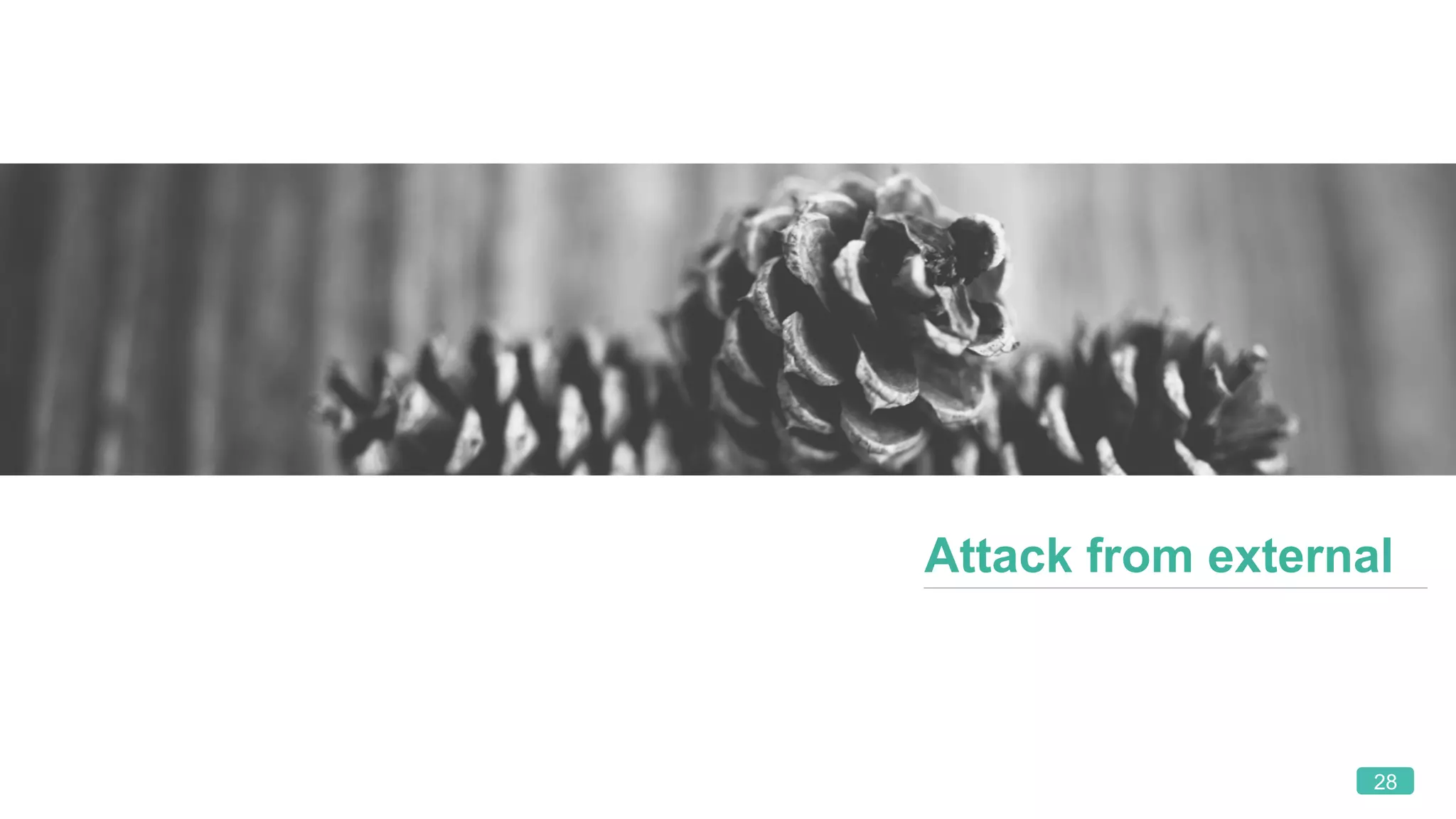 28
Attack from external
 