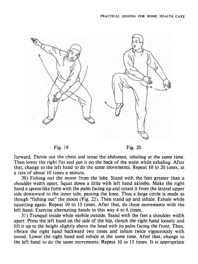 Qi gong chinese qigong for home healing PDF-Book