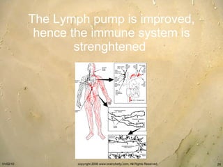 The Lymph pump is improved, hence the immune system is strenghtened   
