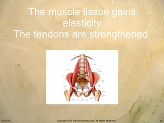 The muscle tissue gains elasticity The tendons are strengthened   
