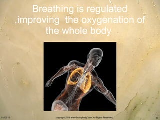 Breathing is regulated ,improving  the oxygenation of the whole body   