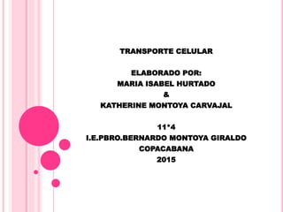TRANSPORTE CELULAR
ELABORADO POR:
MARIA ISABEL HURTADO
&
KATHERINE MONTOYA CARVAJAL
11*4
I.E.PBRO.BERNARDO MONTOYA GIRALDO
COPACABANA
2015
 