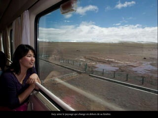 Joey aime le paysage qui change en dehors de sa fenêtre. 