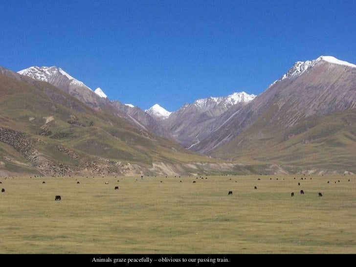 the qinghai tibet railway and the impact Qinghai tibet train (lhasa express): taking qinghai tibet train travel is probably once a lifetime experience for westernersexplore tibet china travel services help you arrange all tibet inbound and outbound train travel ticketing service in tibet and china our offers are cheaper contact. the qinghai tibet railway and the impact Qinghai tibet train (lhasa express): taking qinghai tibet train travel is probably once a lifetime experience for westernersexplore tibet china travel services help you arrange all tibet inbound and outbound train travel ticketing service in tibet and china our offers are cheaper contact.