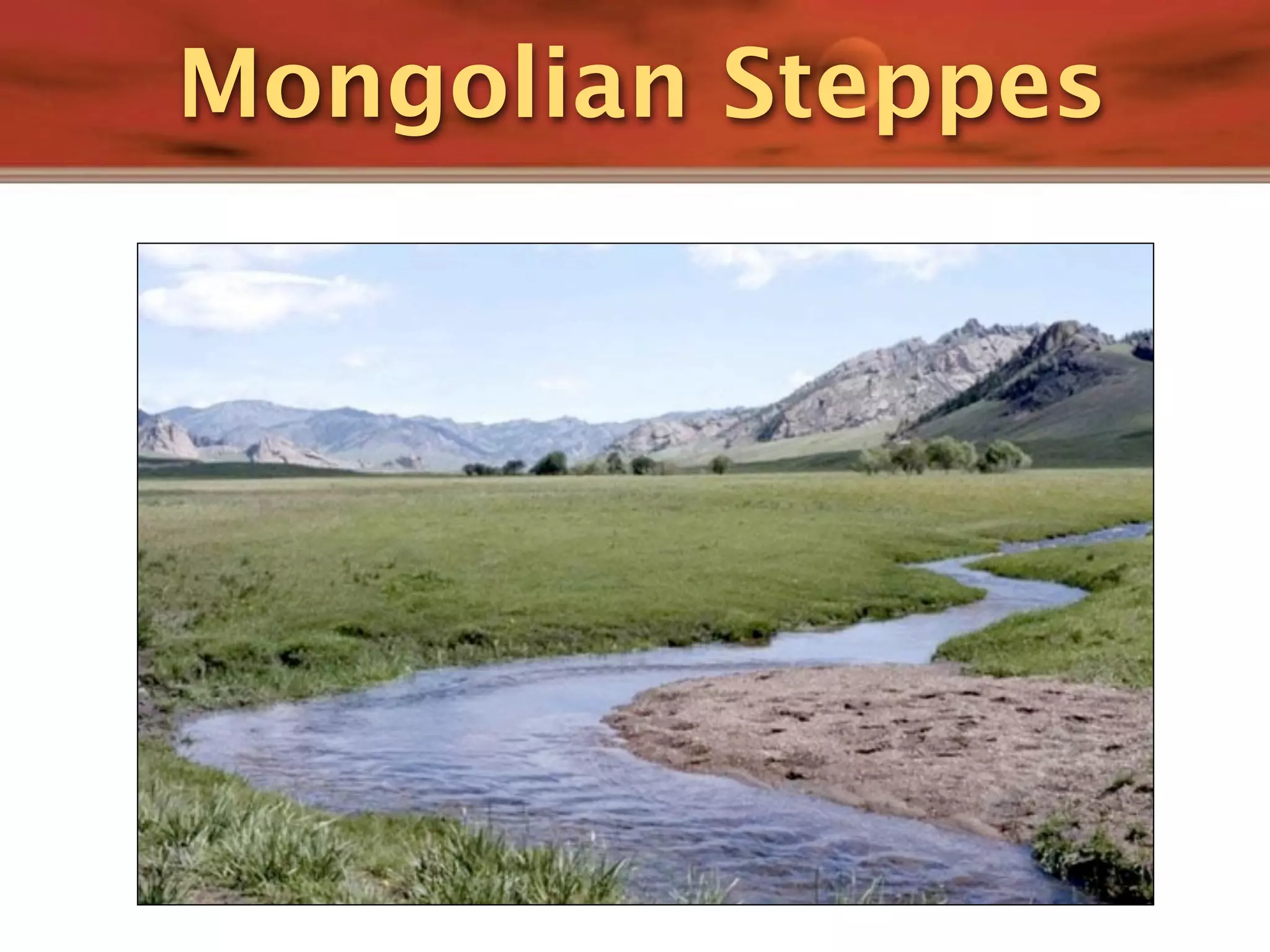 Mongolian Steppes
 