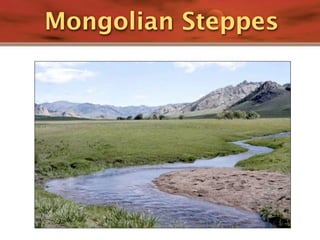 Mongolian Steppes
 