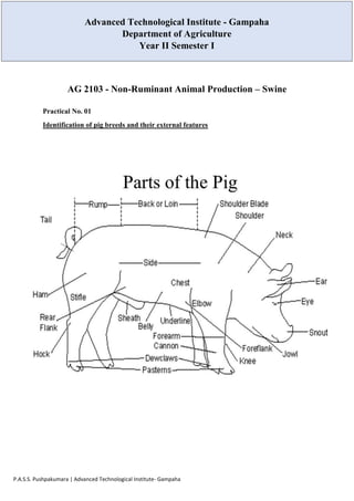P.A.S.S. Pushpakumara | Advanced Technological Institute- Gampaha
AG 2103 - Non-Ruminant Animal Production – Swine
Practical No. 01
Identification of pig breeds and their external features
Advanced Technological Institute - Gampaha
Department of Agriculture
Year II Semester I
 
