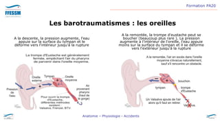PA20_-_02_-_Anatomie__Accidents.pptx