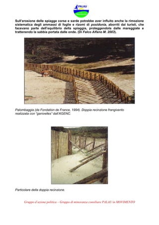 Gruppo d’azione politica – Gruppo di minoranza consiliare PALAU in MOVIMENTO
Sull’erosione delle spiagge corse e sarde potrebbe aver influito anche la rimozione
sistematica degli ammassi di foglie e rizomi di posidonia, aborriti dai turisti, che
facevano parte dell’equilibrio della spiaggia, proteggendola dalle mareggiate e
trattenendo la sabbia portata dalle onde. (Di Falco Alfano M. 2003).
Palombaggia (da Fondation de France, 1994). Doppia recinzione frangivento
realizzata con “ganivelles” dall’AGENC.
Particolare della doppia recinzione.
 