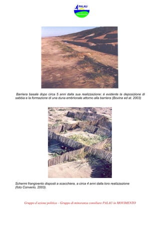 Gruppo d’azione politica – Gruppo di minoranza consiliare PALAU in MOVIMENTO
Barriera basale dopo circa 5 anni dalla sua realizzazione: è evidente la deposizione di
sabbia e la formazione di una duna embrionale attorno alla barriera (Bovina ed at. 2003)
Schermi frangivento disposti a scacchiera, a circa 4 anni dalla loro realizzazione
(foto Converio, 2003).
 