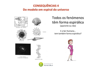 CONSEQUÊNCIAS 4
Do modelo em espiral do universo
Todos os fenómenos
têm forma espirálica
(aparente ou não)
E o Ser Humano…
tem também forma espirálica?
 