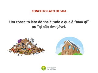 CONCEITO LATO DE SHA
Um conceito lato de sha é tudo o que é “mau qi”
ou “qi não desejável.
 