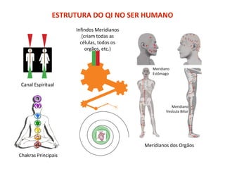 ESTRUTURA DO QI NO SER HUMANO
Canal Espiritual
Chakras Principais
Infindos Meridianos
(criam todas as
células, todos os
orgãos, etc.)
Meridianos dos Orgãos
Meridiano
Estômago
Meridiano
Vesícula Biliar
 
