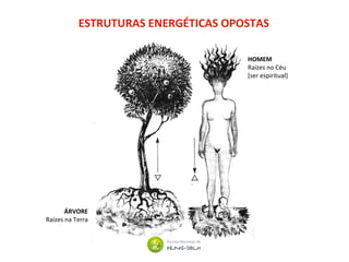 ESTRUTURAS ENERGÉTICAS OPOSTAS
HOMEM
Raízes no Céu
[ser espiritual]
ÁRVORE
Raízes na Terra
 