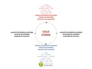 CICLO
ETERNO
aumento da tendência centrífuga
aumento de actividade
expansão da estrutura
aumento da tendência centrípeta
diminuição de actividade
contracção da estrutura
vermelho
calor claridade
fachada da casa fénix
homem céu
leve menos denso
verão sul dia
violeta
frio escuridão
traseiras da casa tartaruga
mulher terra
pesado mais denso
inverno norte noite
máximo da tendência centrífuga
máximo de actividade
estrutura mais expandida
máximo de tendência centrípeta
mínimo de actividade
estrutura mais contraída
 