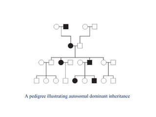 Multifactorial Inheritance Pedigree