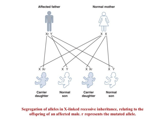 Genetics dentistry inheritance patterns or modes of inheritance