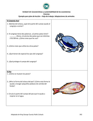Unidad 3.8: Características y sustentabilidad de los ecosistemas
Ciencias
Ejemplo para plan de lección – Hoja de trabajo: Adaptaciones de animales
Adaptado de King George County Public Schools 392
El Cangrejo Azul
1. Además de la boca, ¿qué otra parte del cuerpo ayuda al
cangrejo a comer?
2. El cangrejo tiene dos palancas. ¿Cuántas patas tiene?
_______ Ahora, circula las dos patas que son distintas
a las demás. ¿Cómo crees que las usa?
3. ¿Cómo crees que utiliza las otras patas?
4. ¿Qué tienen de especial los ojos del cangrejo?
5. ¿Qué protege el cuerpo del cangrejo?
El Pez
1. ¿Cómo se mueven los peces?
2. ¿Mira la forma de la boca del pez? ¿Cómo esta forma le
ayuda a recoger pequeños pedazos de comida del
fondo?
3. Circula la parte del cuerpo del pez que le ayuda a
respirar en el agua.
 