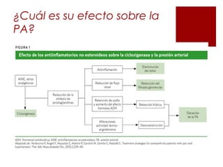¿Cuál es su efecto sobre la
PA?
 