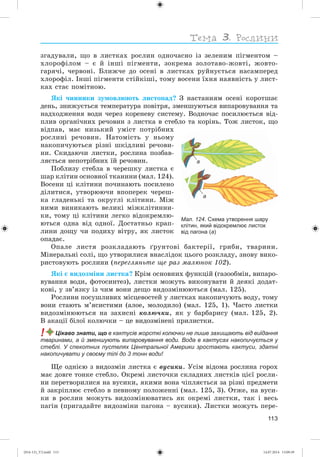 113
çãàäóâàëè, ùî â ëèñòêàõ ðîñëèí îäíî÷àñíî іç çåëåíèì ïіãìåíòîì –
õëîðîôіëîì – є é іíøі ïіãìåíòè, çîêðåìà çîëîòàâî-æîâòі, æîâòî-
ãàðÿ÷і, ÷åðâîíі. Áëèæ÷å äî îñåíі â ëèñòêàõ ðóéíóєòüñÿ íàñàìïåðåä
õëîðîôіë. Іíøі ïіãìåíòè ñòіéêіøі, òîìó âîñåíè їõíÿ íàÿâíіñòü ó ëèñò-
êàõ ñòàє ïîìіòíîþ.
ßêі ÷èííèêè çóìîâëþþòü ëèñòîïàä? Ç íàñòàííÿì îñåíі êîðîòøàє
äåíü, çíèæóєòüñÿ òåìïåðàòóðà ïîâіòðÿ, çìåíøóþòüñÿ âèïàðîâóâàííÿ òà
íàäõîäæåííÿ âîäè ÷åðåç êîðåíåâó ñèñòåìó. Âîäíî÷àñ ïîñèëþєòüñÿ âіä-
ïëèâ îðãàíі÷íèõ ðå÷îâèí ç ëèñòêà â ñòåáëî òà êîðіíü. Òîæ ëèñòîê, ùî
âіäïàâ, ìàє íèçüêèé óìіñò ïîòðіáíèõ
ðîñëèíі ðå÷îâèí. Íàòîìіñòü ó íüîìó
íàêîïè÷óþòüñÿ ðіçíі øêіäëèâі ðå÷îâè-
íè. Ñêèäàþ÷è ëèñòêè, ðîñëèíà ïîçáàâ-
ëÿєòüñÿ íåïîòðіáíèõ їé ðå÷îâèí.
Ïîáëèçó ñòåáëà â ÷åðåøêó ëèñòêà є
øàð êëіòèí îñíîâíîї òêàíèíè (ìàë. 124).
Âîñåíè öі êëіòèíè ïî÷èíàþòü ïîñèëåíî
äіëèòèñÿ, óòâîðþþ÷è âïîïåðåê ÷åðåø-
êà ãëàäåíüêі òà îêðóãëі êëіòèíè. Ìіæ
íèìè âèíèêàþòü âåëèêі ìіæêëіòèííè-
êè, òîìó öі êëіòèíè ëåãêî âіäîêðåìëþ-
þòüñÿ îäíà âіä îäíîї. Äîñòàòíüî êðàï-
ëèíè äîùó ÷è ïîäèõó âіòðó, ÿê ëèñòîê
îïàäàє.
Îïàëå ëèñòÿ ðîçêëàäàþòü ґðóíòîâі áàêòåðії, ãðèáè, òâàðèíè.
Ìіíåðàëüíі ñîëі, ùî óòâîðèëèñÿ âíàñëіäîê öüîãî ðîçêëàäó, çíîâó âèêî-
ðèñòîâóþòü ðîñëèíè (ïåðåãëÿíüòå ùå ðàç ìàëþíîê 102).
ßêі є âèäîçìіíè ëèñòêà? Êðіì îñíîâíèõ ôóíêöіé (ãàçîîáìіí, âèïàðî-
âóâàííÿ âîäè, ôîòîñèíòåç), ëèñòêè ìîæóòü âèêîíóâàòè é äåÿêі äîäàò-
êîâі, ó çâ’ÿçêó іç ÷èì âîíè äåùî âèäîçìіíþþòüñÿ (ìàë. 125).
Ðîñëèíè ïîñóøëèâèõ ìіñöåâîñòåé ó ëèñòêàõ íàêîïè÷óþòü âîäó, òîìó
âîíè ñòàþòü ì’ÿñèñòèìè (àëîå, ìîëîäèëî) (ìàë. 125, 1). ×àñòî ëèñòêè
âèäîçìіíþþòüñÿ íà çàõèñíі êîëþ÷êè, ÿê ó áàðáàðèñó (ìàë. 125, 2).
Â àêàöії áіëîї êîëþ÷êè – öå âèäîçìіíåíі ïðèëèñòêè.
! Цікаво знати, що в кактусів жорсткі колючки не лише захищають від виїдання
тваринами, а й зменшують випаровування води. Вода в кактусах накопичується у
стеблі. У спекотних пустелях Центральної Америки зростають кактуси, здатні
накопичувати у своєму тілі до 3 тонн води!
Ùå îäíієþ ç âèäîçìіí ëèñòêà є âóñèêè. Óñіì âіäîìà ðîñëèíà ãîðîõ
ìàє äîâãå òîíêå ñòåáëî. Îêðåìі ëèñòî÷êè ñêëàäíèõ ëèñòêіâ öієї ðîñëè-
íè ïåðåòâîðèëèñÿ íà âóñèêè, ÿêèìè âîíà ÷іïëÿєòüñÿ çà ðіçíі ïðåäìåòè
é çàêðіïëþє ñòåáëî â ïåâíîìó ïîëîæåííі (ìàë. 125, 3). Îòæå, íà âóñè-
êè â ðîñëèí ìîæóòü âèäîçìіíþâàòèñü ÿê îêðåìі ëèñòêè, òàê і âåñü
ïàãіí (ïðèãàäàéòå âèäîçìіíè ïàãîíà – âóñèêè). Ëèñòêè ìîæóòü ïåðå-
Мал. 124. Схема утворення шару
клітин, який відокремлює листок
від пагона (а)
а
а
(014-13)_V2.indd 113 14.07.2014 13:09:39
 