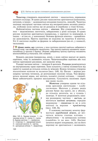 126
§33. Квітка як орган статевого розмноження рослин
×àøå÷êó óòâîðþþòü âèäîçìіíåíі ëèñòêè – ÷àøîëèñòêè, ïåðåâàæíî
çåëåíîãî êîëüîðó. Â îäíèõ ðîñëèí ÷àøîëèñòêè çðîñòàþòüñÿ (øèïøèíà,
ïåòóíіÿ), â іíøèõ – çàëèøàþòüñÿ âіëüíèìè (êàïóñòà, ëåâêîé). ×àøå÷êà
çàõèùàє âíóòðіøíі ÷àñòèíè êâіòêè âіä íåñïðèÿòëèâèõ âïëèâіâ äîâêіë-
ëÿ, îñîáëèâî êîëè êâіòêà ùå íå ðîçöâіëà é ïåðåáóâàє ó ñòàíі áóòîíà.
Íàéïîìіòíіøà ÷àñòèíà êâіòêè – âіíî÷îê. Âіí óòâîðåíèé ç ïåëþñ-
òîê – âèäîçìіíåíèõ ëèñòî÷êіâ, çàáàðâëåíèõ ó ðіçíі êîëüîðè. Â îäíèõ
ðîñëèí ïåëþñòêè çðîñòàþòüñÿ (íàïðèêëàä, ó êàðòîïëі òà ïîìіäîðіâ), â
іíøèõ – íі (ÿê-îò, ó øèïøèíè). Îñíîâíà ôóíêöіÿ âіíî÷êà – ïðèâàáëåí-
íÿ çàïèëþâà÷іâ. Ïðîñòà îöâіòèíà íå ïîäіëåíà íà ÷àøå÷êó é âіíî÷îê.
Óñі її ëèñòî÷êè ïîäіáíі çà ôîðìîþ òà çàáàðâëåííÿì (ÿê-îò, ó êîíâàëії,
òþëüïàíà).
! Цікаво знати, що є рослини, у яких листочки простої оцвітини забарвлені в
зелений колір, чим нагадують чашолистки. Таку просту оцвітину називають чашеч-
коподібною (у кропиви й буряку). Яскраво забарвлену просту оцвітину називають
віночкоподібною (у тюльпана, лілії, конвалії).
Áóâàþòü ðîñëèíè (íàïðèêëàä, ÿñåí), ó ÿêèõ êâіòêè âçàãàëі íå ìàþòü
îöâіòèíè, òîìó їõ íàçèâàþòü ãîëèìè. ×àøå÷êîïîäіáíà îöâіòèíà àáî ãîëі
êâіòêè ïðèòàìàííі ðîñëèíàì, ÿêі çàïèëþє âіòåð.
Ãîëîâíі ÷àñòèíè êâіòêè – òè÷èíêè é ìàòî÷êè. Òè÷èíêè ðîçìіùóþòüñÿ
ïî âíóòðіøíüîìó êðàþ îöâіòèíè. Їõíÿ êіëüêіñòü ó êâіòöі êîëèâàєòüñÿ âіä
îäíієї (ó êàííè) äî êіëüêîõ ñîòåíü (ó ìіìîçè). Êîæíà òè÷èíêà óòâîðåíà
òè÷èíêîâîþ íèòêîþ òà ïèëÿêîì (ìàë. 140, À). Ïèëÿê – âåðõíÿ ðîç-
øèðåíà ÷àñòèíà òè÷èíêè, äå ðîçòàøîâàíі ïèëêîâі ãíіçäà. Òàì ôîðìó-
þòüñÿ ïèëêîâі çåðíà, ÿêі ìіñòÿòü ÷îëîâі÷і ñòàòåâі êëіòèíè, – ñïåðìії.
Âîíè çàáåçïå÷óþòü ïðîöåñè çàïëіäíåííÿ. Ñóêóïíіñòü ïèëêîâèõ çåðåí
ìàє íàçâó ïèëîê.
Ìàòî÷êà óòâîðåíà îäíèì ÷è êіëü-
êîìà çðîñëèìè ëèñòî÷êàìè – ïëîäî-
ëèñòêàìè. Ìàòî÷îê ó ðіçíèõ âèäіâ
ðîñëèí áóâàє âіä îäíієї, ÿê ó ÿáëóíі,
äî êіëüêîõ äåñÿòêіâ, ÿê ó ñóíèöü і
æîâòöþ. Ó ìàòî÷êè ðîçðіçíÿþòü íèæ-
íþ ðîçøèðåíó ÷àñòèíó – çàâ’ÿçü, äå
ìіñòÿòüñÿ íàñіííі çà÷àòêè; ñåðåäíþ
âèäîâæåíó – ñòîâï÷èê (є íå â óñіõ
êâіòîê) òà âåðõíþ – ïðèéìî÷êó
(ìàë. 140, Á).
Ó êîæíîìó íàñіííîìó çà÷àòêó ôîð-
ìóєòüñÿ çàðîäêîâèé ìіøîê, äå ìіñ-
òèòüñÿ æіíî÷à ñòàòåâà êëіòèíà –
ÿéöåêëіòèíà – òà öåíòðàëüíà êëіòèíà
(çíàéäіòü їõ íà ìàë. 140). Íàñіííі
çà÷àòêè âêðèòі ïîêðèâàìè, ÿêі íà éîãî
âåðõіâöі íå çðîñòàþòüñÿ і çàëèøàþòü
Мал. 140. А. Будова тичинки: 1 – ти-
чинкова нитка; 2 – пиляк; 3 – пилок.
Б. Будова маточки: 1 – приймочка;
2 – стовпчик; 3 – зародковий мішок;
4 – насінний зачаток; 5 – зав’язь;
6 – центральна клітина; 7 – яйцеклітина
Á
À
1
3
2
1
3
4
2
5
6
7
(014-13)_V2.indd 126 14.07.2014 13:09:41
 