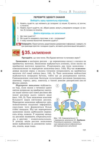 131
ПЕРЕВІРТЕ ЗДОБУТІ ЗНАННЯ
Виберіть одну правильну відповідь
1. Назвіть суцвіття, що належить до складних: а) кошик; б) волоть; в) зонтик;
г) початок.
2. Назвіть прості суцвіття, які, зібрані разом, можуть утворювати складне: а) зон-
тик; б) головка; в) початок.
Дайте відповідь на запитання
1. Що таке суцвіття?
2. Які суцвіття називають простими, а які – складними?
3. У чому полягає біологічне значення суцвіть?
Поміркуйте. Користуючись додатковими джерелами інформації, наведіть по
три приклади простих і складних суцвіть, які мають рослини вашої місцевості.
§ 35.ЗАПИЛЕННЯ
Пригадайте, що таке пилок. Яка будова маточки та пилкових зерен?
Çàïèëåííÿ â íàñіííèõ ðîñëèí – öå ïåðåíåñåííÿ ïèëêó ç ïèëÿêà íà
ïðèéìî÷êó ìàòî÷êè. Çàïèëåííÿ âіäáóâàєòüñÿ óñïіøíî, êîëè ïèëîê íà
ïðèéìî÷öі ìàòî÷êè ïðîðîñòàє. Ðîçðіçíÿþòü äâà òèïè çàïèëåííÿ –
ñàìîçàïèëåííÿ òà ïåðåõðåñíå çàïèëåííÿ (ìàë. 145). Ïіä ÷àñ ñàìîçàïè-
ëåííÿ ïèëêîâі çåðíà ç ïèëÿêà òè÷èíêè ïîòðàïëÿþòü íà ïðèéìî÷êó
ìàòî÷êè òієї ñàìîї êâіòêè (ìàë. 145, 1). Òàêå çàïèëåííÿ íàé÷àñòіøå
âіäáóâàєòüñÿ âñåðåäèíі áóòîíà, òîáòî ùå äî ðîçêðèâàííÿ êâіòêè.
Ñàìîçàïèëåííÿ âëàñòèâå áàãàòüîì êóëüòóðíèì ðîñëèíàì (íàïðèêëàä,
ïøåíèöі, ãîðîõó, ðèñó, êâàñîëі), à òàêîæ äåÿêèì äèêîðîñëèì (ÿê-îò
ôіàëêà äèâíà).
Ïåðåõðåñíå çàïèëåííÿ âіäáóâàєòü-
ñÿ òîäі, êîëè ïèëîê ç òè÷èíêè îäíієї
êâіòêè ïîòðàïëÿє íà ïðèéìî÷êó ìàòî÷-
êè іíøîї êâіòêè öієї ñàìîї ðîñëèíè àáî
іíøîї ðîñëèíè öüîãî ñàìîãî âèäó
(ìàë. 145, 2). Òàêå çàïèëåííÿ âëàñòèâå
áіëüøîñòі âèäіâ êâіòêîâèõ ðîñëèí.
Ïåðåõðåñíå çàïèëåííÿ çàáåçïå÷óє óðіç-
íîìàíіòíåííÿ ñïàäêîâîї іíôîðìàöії,
óíàñëіäîê ÷îãî ôîðìóþòüñÿ áіëüø
ñòіéêі íàùàäêè. Ïіä ÷àñ ïåðåõðåñíîãî
çàïèëåííÿ ïèëîê çäåáіëüøîãî ïåðåíî-
ñÿòü âіòåð, êîìàõè. Ó ïåðøîìó âèïàä-
êó ðîñëèíè íàçèâàþòü âіòðîçàïèëüíè-
ìè, ó äðóãîìó – êîìàõîçàïèëüíèìè.
Ó äåÿêèõ âèäіâ ðîñëèí çàïèëåííÿ
ìîæå âіäáóâàòèñÿ çà äîïîìîãîþ êàæà-
íіâ, ïòàõіâ, âîäè òîùî.
Мал. 145. Самозапилення (1)
і перехресне запилення (2). Завдання.
Розгляньте малюнок і поясніть,
чим самозапилення відрізняється
від перехресного запилення
1
2
(014-13)_V2.indd 131 14.07.2014 13:09:43
 