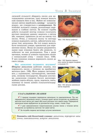 133
ëè÷åçíіé êіëüêîñòі çáèðàþòü ïèëîê äëÿ âè-
ãîäîâóâàííÿ ïîòîìñòâà, іíøі êîìàõè ìîæóòü
ñàìі âæèâàòè éîãî â їæó. Ìàéæå âñі êîìàõîçà-
ïèëüíі êâіòêè âèðîáëÿþòü íåêòàð – öóêðèñòó
ðіäèíó, ùî óòâîðþєòüñÿ â íåêòàðíèêàõ. Öå
îñîáëèâі çàëîçèñòі óòâîðè, ðîçòàøîâàíі ïåðå-
âàæíî â ãëèáèíі êâіòêè. Çà êîæíîї ñïðîáè
äîáóòè ñîëîäêèé íåêòàð êîìàõè ñïëà÷óþòü
ðîñëèíі ñâîєðіäíó äàíèíó: âèíîñÿòü ç êâіòêè
àáî, íàâïàêè, ïðèíîñÿòü äî íåї íà ñâîєìó òіëі
ïèëîê. Îòæå, ó ïîøóêàõ ïèëêó òà íåêòàðó
êîìàõè âіäâіäóþòü êâіòêè, çàáåçïå÷óþ÷è âîä-
íî÷àñ їõíє çàïèëåííÿ. Íà òіëі êîìàõ ìîæóòü
áóòè ñïåöіàëüíі óòâîðè, ïðèçíà÷åíі äëÿ ïåðå-
íåñåííÿ ïèëêó. ßêùî âè óâàæíî ðîçäèâèòåñü
çàäíþ ïàðó êіíöіâîê áäæіë àáî äæìåëіâ, òî
ïîáà÷èòå íà íèõ ðîçøèðåííÿ. Òàì є ðÿäè
ùåòèíîê, ÿêèìè öі êîìàõè ñòðóøóþòü ïèëîê
ó ñïåöіàëüíèé óòâіð – êîøèê (ìàë. 149).
Ó öèõ êîøèêàõ êîìàõè ïåðåíîñÿòü ïèëîê äî
ñâîãî ãíіçäà.
ßêå çàïèëåííÿ íàçèâàþòü øòó÷íèì?
Øòó÷íå çàïèëåííÿ çäіéñíþє ëþäèíà, ÿêà
ïåðåíîñèòü ïèëîê ç òè÷èíîê íà ïðèéìî÷êó
ìàòî÷êè (ìàë. 150). Éîãî øèðîêî çàñòîñîâó-
þòü ó ñàäіâíèöòâі, êâіòíèêàðñòâі, îâî÷іâíè-
öòâі, ëіñîâîìó ãîñïîäàðñòâі. Çàâäÿêè øòó÷íî-
ìó çàïèëåííþ ñòâîðåíî áàãàòî âèñîêîâðî-
æàéíèõ ñîðòіâ ÿáëóíü, ãðóø, ïåðñèêіâ, æèòà,
ïøåíèöі òà іíøèõ öіííèõ ñіëüñüêîãîñïîäàð-
ñüêèõ ðîñëèí.
ÓÇÀÃÀËÜÍÈÌÎ ÇÍÀÍÍß
У природі поширені перехресне запилення та самозапилення. Під час
перехресного запилення пилок з тичинки однієї квітки потрапляє на приймочку
маточки іншої квітки цієї самої або іншої рослини того самого виду. Перехресне
запилення може відбуватися за допомогою вітру, комах, птахів тощо.
У разі самозапилення покритонасінних рослин пилок з тичинки квітки
потрапляє на приймочку маточки тієї самої квітки.
За потреби людина застосовує штучне запилення.
Ïîïîâíіòü ñâіé áіîëîãі÷íèé ñëîâíèê: çàïèëåííÿ, ïåðåõðåñíå çàïè-
ëåííÿ, ñàìîçàïèëåííÿ, øòó÷íå çàïèëåííÿ.
Мал. 150. Штучне запилення
квітки людиною
Мал. 149. Бджола перено-
сить пилок на задніх кінцівках
у кошиках (1)
1
Мал. 148. Квітка рафлезії
(014-13)_V2.indd 133 14.07.2014 13:09:43
 